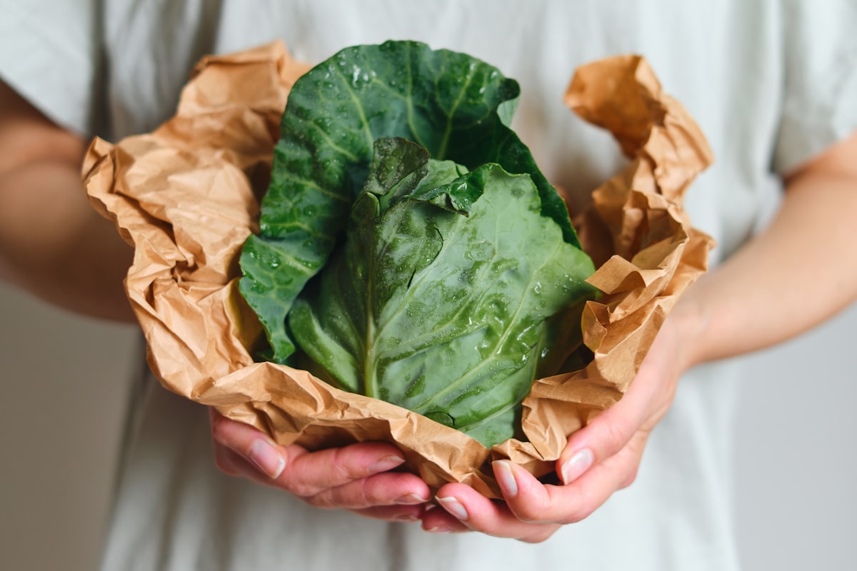 Ingredienti freschi e nutrienti